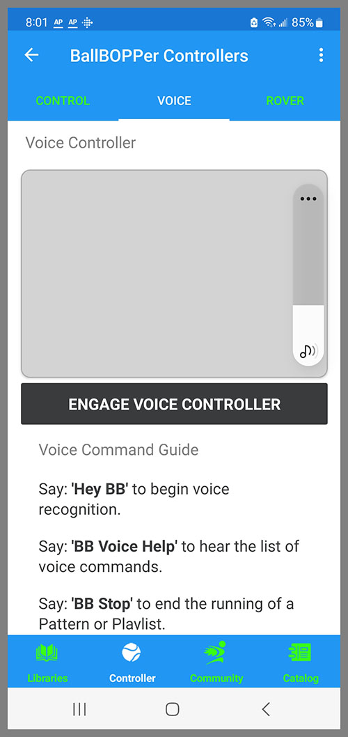 Voice Controller Image